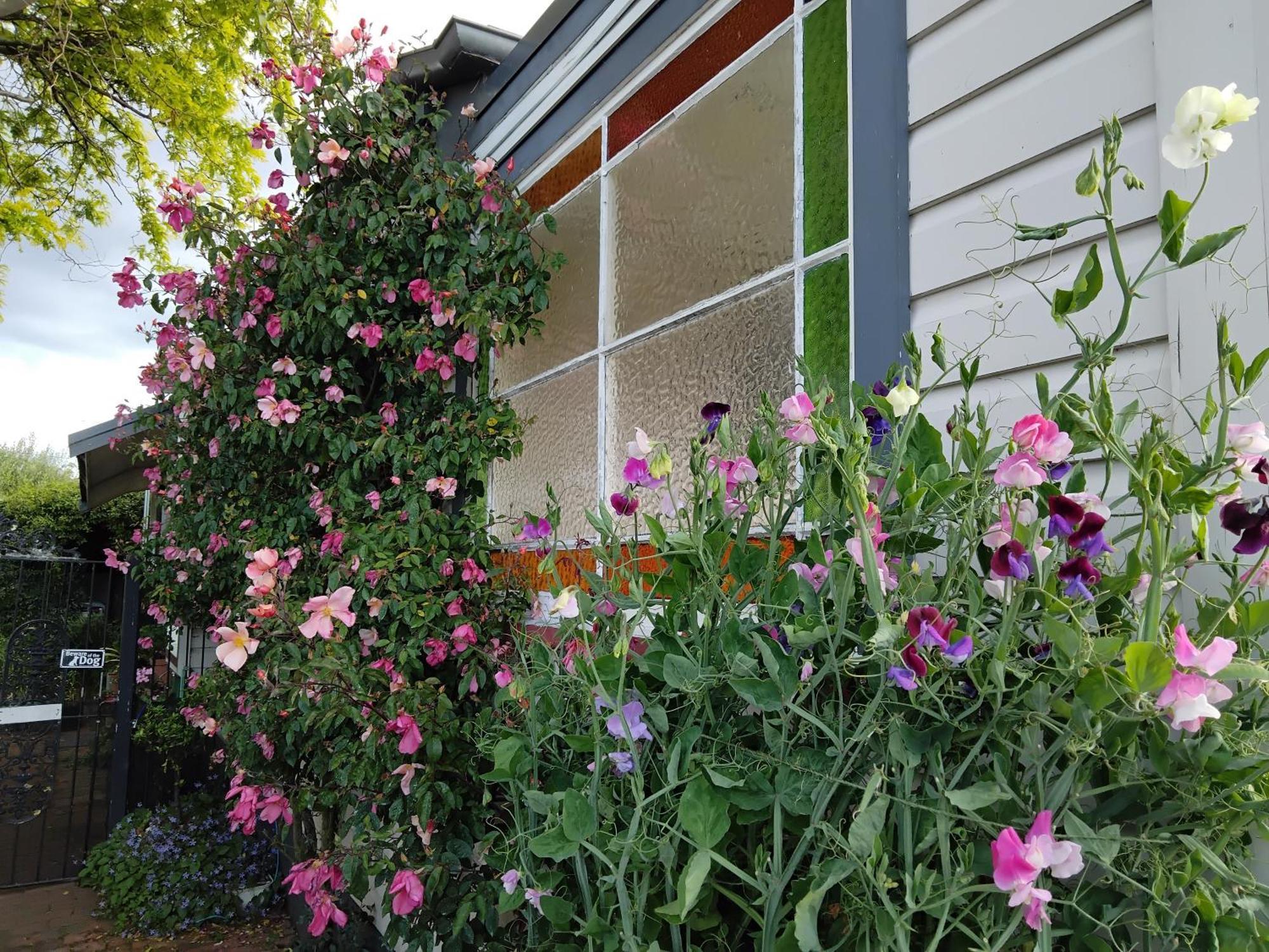 Guthrie Cottage Havelock North Exterior foto